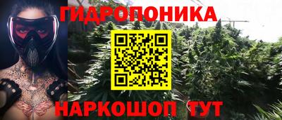 шишки Абинск