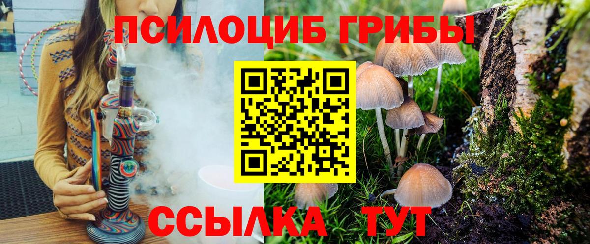 Галлюциногенные грибы Psilocybe  Галлюциногенные грибы GOLDEN TEACHER  Вход с VPN  Александров 